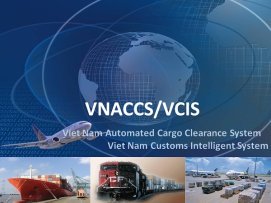 Hệ thống VNACCS/VCIS là gì?