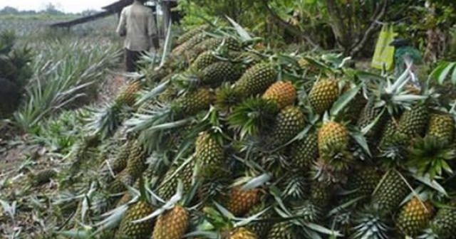 Đề xuất thu thuế với thương lái Trung Quốc