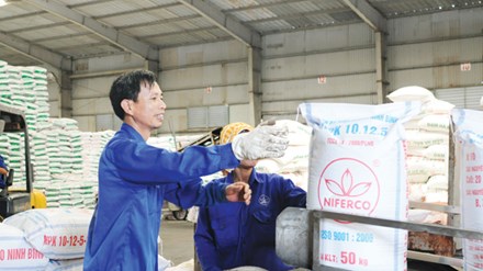 Không thu 5% VAT phân bón: Nông dân không được lợi, DN kêu thiệt hàng nghìn tỷ