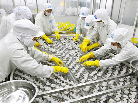 Thủy sản: Cho phép thông quan trước, kiểm dịch sau