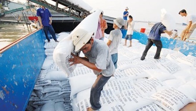 Kiểm tra 31 doanh nghiệp xuất khẩu gạo sang Trung Quốc