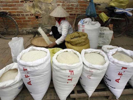 Vì sao gạo Việt bị 'đo ván' cả sân nhà lẫn sân khách?